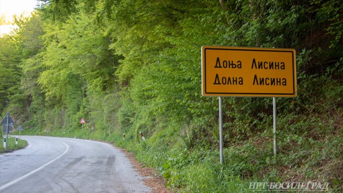 Asfalt-D.Lisina1