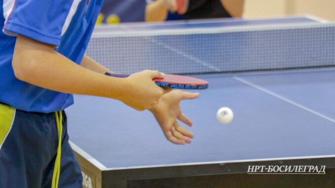 Stoni-tenis-sajt1