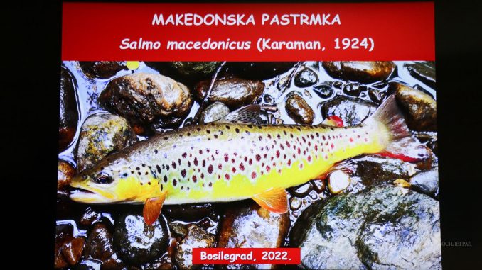 POT-PASTRMKA
